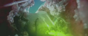 Hector Hammond and alien POV porn looks delicious