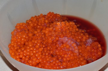 Salmon Roe (Before Cured)