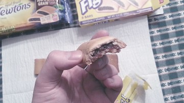 Little Debbie Figbars detail