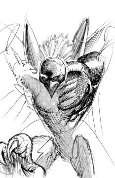 Manga Studio 5 practice inking